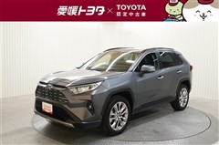 RAV4 G Zパッケージ