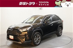 RAV4 G
