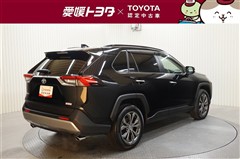 RAV4 G