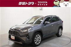 RAV4 G Zパッケージ