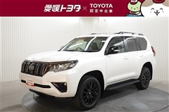 ランクルプラドTX L BLK ED