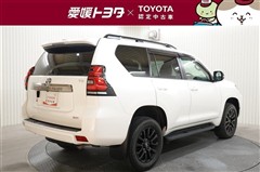 ランクルプラドTX L BLK ED