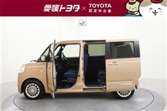 ムーヴキャンバス セオリー G