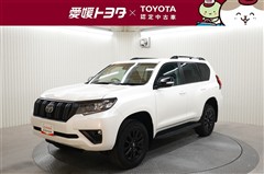 ランクルプラドTX LマットBLK