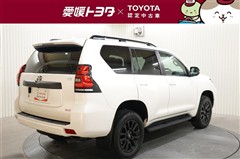 ランクルプラドTX LマットBLK