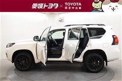 ランクルプラドTX LマットBLK