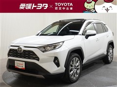RAV4 G Zパッケージ