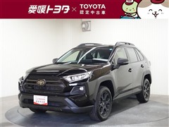 RAV4アドベンチャーオフロード2