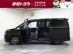 ヴォクシー S-Z