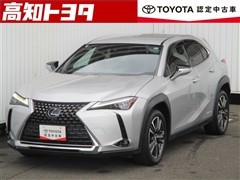 UX250h バージョンL