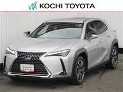 UX250h バージョンL