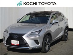 NX300h バージョンL