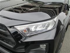 RAV4 アドベンチャー