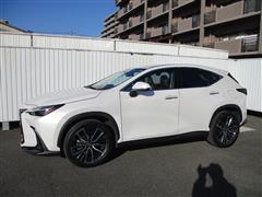 NX350h バージョンL