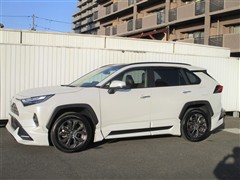 RAV4 ハイブリッドG