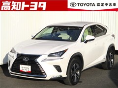 NX300h Iパッケージ