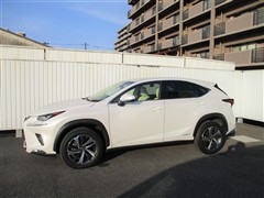 NX300h Iパッケージ