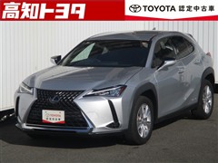 UX250h バージョンC