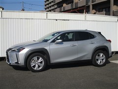 UX250h バージョンC