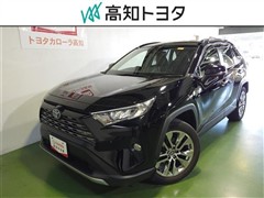 RAV4 G Zパッケージ