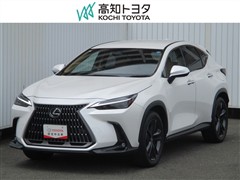 レクサス NX250 バージョンL