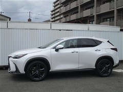 NX250 バージョンL