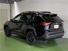 RAV4 アドベンチャー
