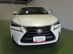 NX200t ヒョウジュンシャ
