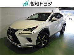 レクサス NX300h ヒョウジュンシャ