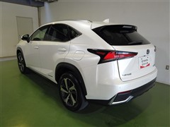 NX300h ヒョウジュンシャ