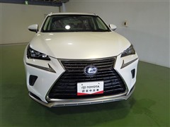 NX300h ヒョウジュンシャ