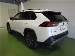 RAV4 G