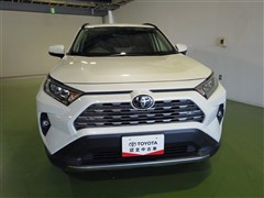 RAV4 G