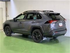 RAV4 アドベンチャー