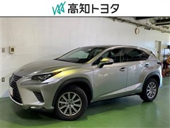 NX300h ヒョウジュンシャ