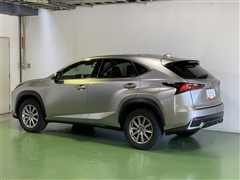 NX300h ヒョウジュンシャ
