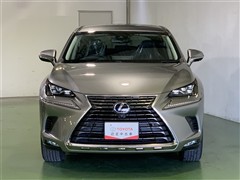 NX300h ヒョウジュンシャ