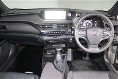 UX250h バージョンC