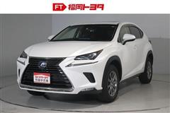 NX300h Iパッケージ