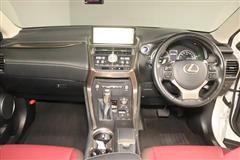 NX300h Iパッケージ