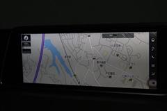 RX300 バージョンL