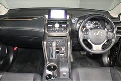 NX300h バージョンL