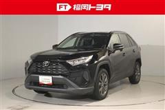 RAV4 X