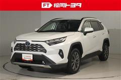 RAV4 HEV G