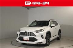 RAV4 G