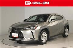 UX250h バージョンC