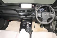 UX250h バージョンC