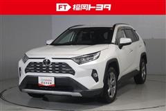 RAV4 G
