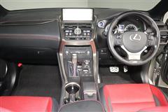 NX300h Fスポーツ