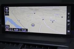 NX300h Fスポーツ